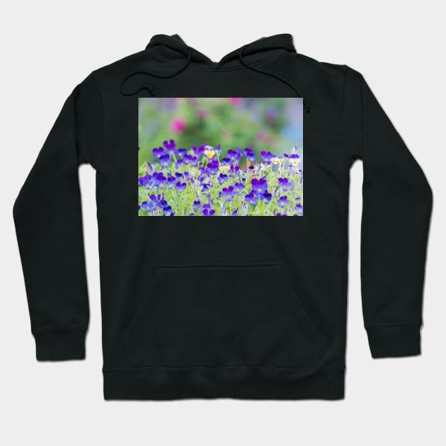 Little Purple Pansies Cottage Garden Hoodie by Amy-K-Mitchell